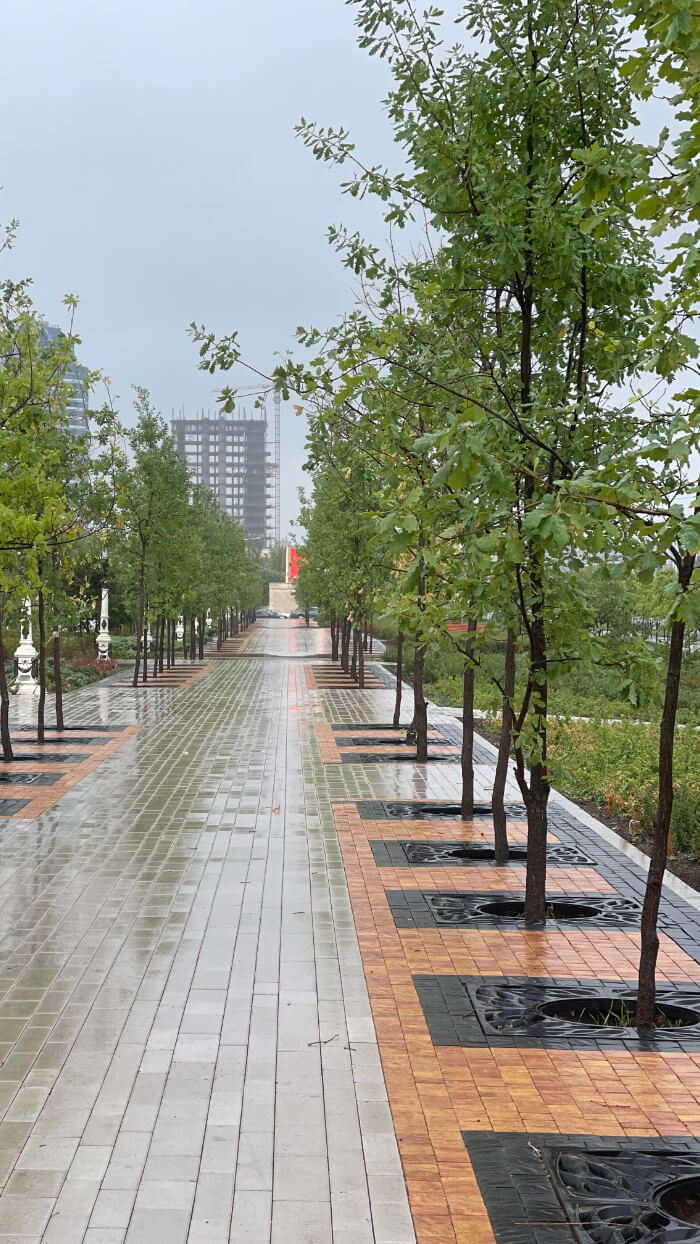 Приствольная решетка для дерева ZKING CRUST 1.2х1.2м Черная в Грозном фото